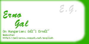 erno gal business card